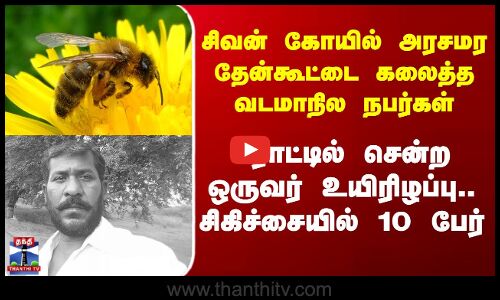 மலை தேனீக்கள் கொட்டியதில் ஒருவர் உயிரிழப்பு