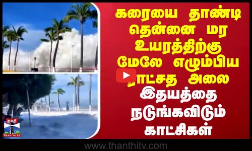 Mexico Floods || கரையை தாண்டி தென்னை மர உயரத்திற்கு மேலே எழும்பிய ராட்சத அலை