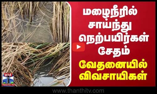 மழைநீரில் சாய்ந்து நெற்பயிர்கள் சேதம் - வேதனையில் விவசாயிகள்