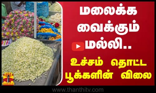 மலைக்க வைக்கும் மல்லி.. உச்சம் தொட்ட பூக்களின் விலை
