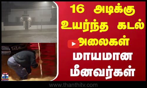 Cyclone | Vietnam | வியட்நாம் சூறாவளி - 13 பேர் பலி, 56 பேர் படுகாயம்