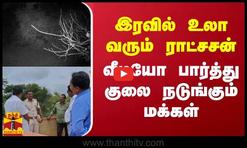 இரவில் உலா வரும் ராட்சசன்.. வீடியோ பார்த்து குலை நடுங்கும் மக்கள்