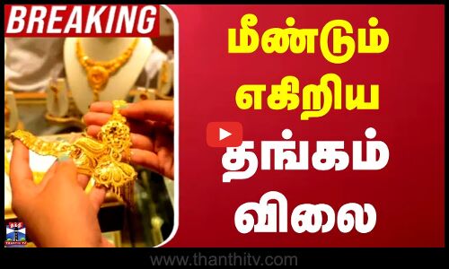 Today Gold Price | Gold Rate | Today Gold Rate | மீண்டும் எகிறிய தங்கம் விலை