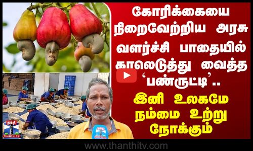 Panruti Cashew nuts வளர்ச்சி பாதையில் காலெடுத்து வைத்த `பண்ருட்டி’.. இனி உலகமே நம்மை உற்று நோக்கும்
