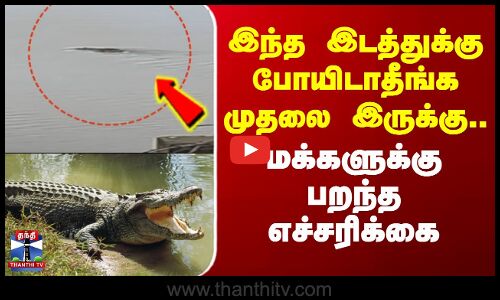 Crocodile | Thanjavur | இந்த இடத்துக்கு போயிடாதீங்க முதலை இருக்கு.. மக்களுக்கு பறந்த எச்சரிக்கை