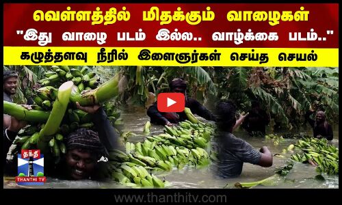 Vaazhai | Thiruchendur | வெள்ளத்தில் மிதக்கும் வாழைகள்..கழுத்தளவு நீரில் இளைஞர்கள் செய்த செயல்
