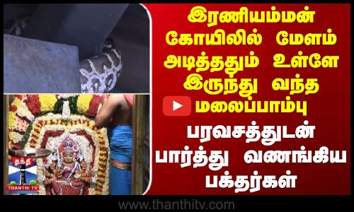 இரணியம்மன் கோயிலில் மேளம் அடித்ததும் உள்ளே இருந்து வந்த மலைப்பாம்பு