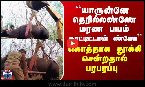 ``யாருன்னே தெரில்லண்ணே மரண பயம் காட்டிட்டான் ண்ணே’’ - கொத்தாக தூக்கி சென்றதால் பரபரப்பு