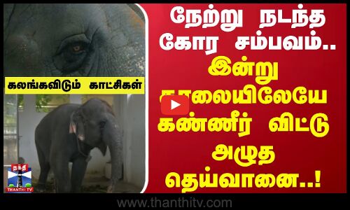நேற்று நடந்த கோர சம்பவம்..இன்று காலையிலேயே கண்ணீர் விட்டு அழுத தெய்வானை..கலங்கவிடும் காட்சிகள்