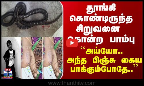 Snake | ``அய்யோ.. அந்த பிஞ்சு கைய பாக்கும்போதே..’’ - தூங்கி கொண்டிருந்த சிறுவனை கொன்ற பாம்பு