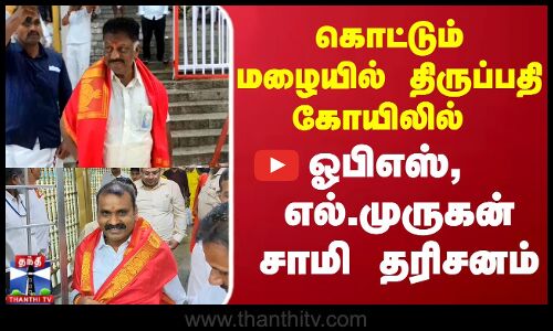 OPS | LMurugan | கொட்டும் மழையில் திருப்பதி கோயிலில் ஓபிஎஸ், எல். முருகன் சாமி தரிசனம்