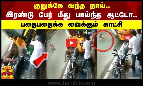 குறுக்கே வந்த நாய்.. இரண்டு பேர் மீது பாய்ந்த ஆட்டோ..பதைபதைக்க வைக்கும் காட்சி