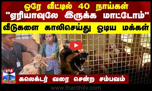 ஒரே வீட்டில் 40 நாய்கள் ஏரியாவுலே இருக்க மாட்டோம் வீடுகளை காலிசெய்து ஓடிய மக்கள்