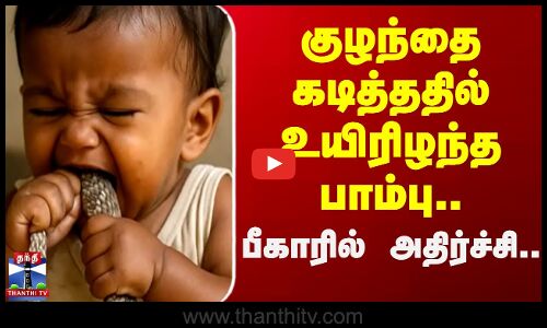 குழந்தை கடித்ததில் உயிரிழந்த பாம்பு.. பீகாரில் அதிர்ச்சி..