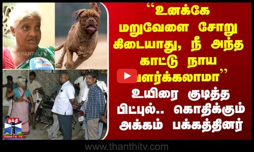 சென்னையில் உயிரை குடித்த பிட்புல்.. கொதிக்கும் அக்கம் பக்க வீட்டார்