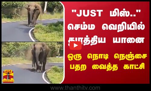 JUST மிஸ்..செம்ம வெறியில் துரத்திய யானை - ஒரு நொடி நெஞ்சை பதற வைத்த காட்சி