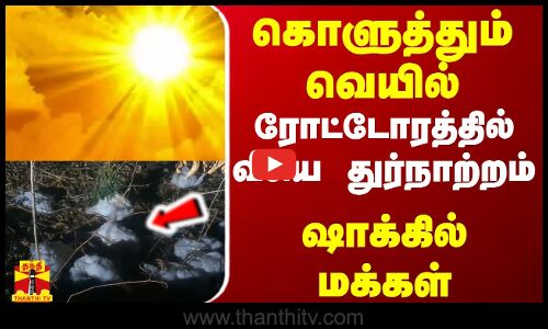 கொளுத்தும் வெயில்... ரோட்டோரத்தில் வீசிய துர்நாற்றம் - ஷாக்கில் மக்கள்