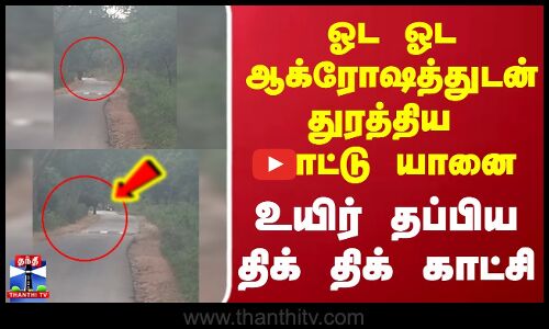 ஓட ஓட ஆக்ரோஷத்துடன் துரத்திய காட்டு யானை.. உயிர் தப்பிய திக் திக் காட்சி