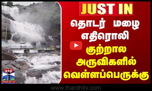 தொடர் மழை எதிரொலி | குற்றால அருவிகளில் வெள்ளப்பெருக்கு