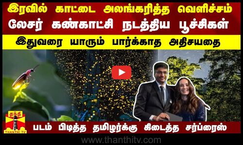 இரவில் காட்டை அலங்கரித்த வெளிச்சம்...லேசர் கண்காட்சி நடத்திய பூச்சிகள்.. அதிசயதை படம் பிடித்த தமிழர்