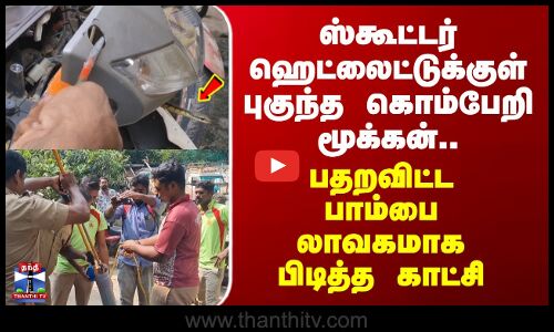 Thanjavur | ஸ்கூட்டர் ஹெட்லைட்டுக்குள் புகுந்த கொம்பேறி மூக்கன்.. பாம்பை லாவகமாக பிடித்த காட்சி
