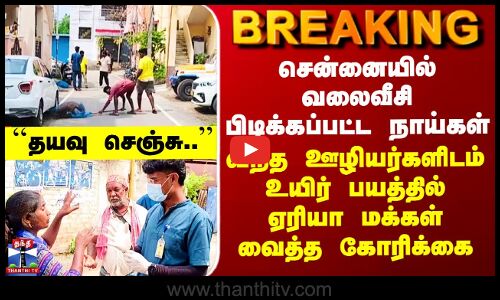 Chennai Stray Dogs | சென்னையில் வலைவீசி பிடிக்கப்பட்ட நாய்கள்.. மக்கள் வைத்த கோரிக்கை