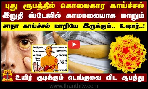 புது ரூபத்தில் கொலைகார காய்ச்சல்.. இறுதி ஸ்டேஜில் காமாலையாக மாறும்.. உஷார்