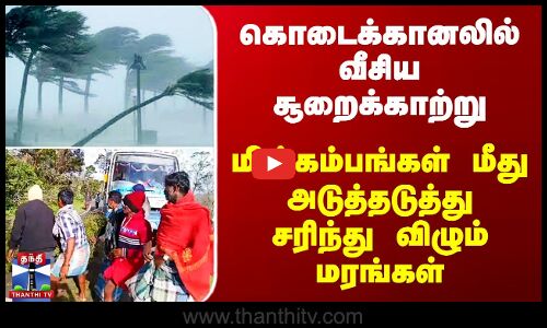 Kodaikanal-இல் வீசிய சூறைக்காற்று - மின்கம்பங்கள் மீது அடுத்தடுத்து சரிந்து விழும் மரங்கள்