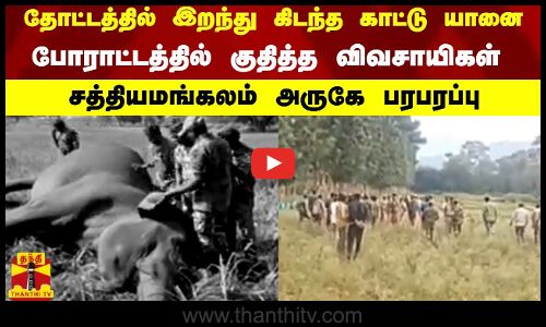 தோட்டத்தில் இறந்து கிடந்த காட்டு யானை -போராட்டத்தில் குதித்த விவசாயிகள் சத்தியமங்கலம் அருகே பரபரப்பு