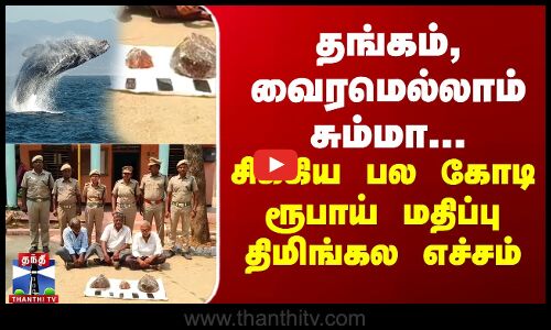 தங்கம், வைரமெல்லாம் சும்மா... சிக்கிய பல கோடி ரூபாய் மதிப்பு திமிங்கல எச்சம்