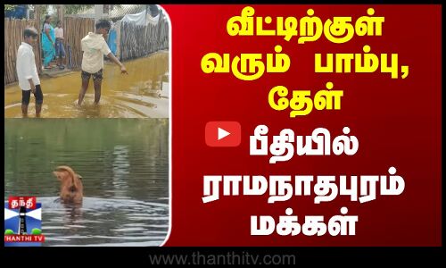 Ramanathapuram | Rain Fall | வீட்டிற்குள் வரும் பாம்பு, தேள் - பீதியில் ராமநாதபுரம் மக்கள்
