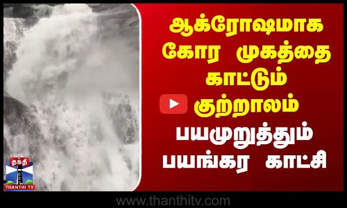Coutrallam Falls | Flood | ஆக்ரோஷமாக கோர முகத்தை காட்டும் குற்றாலம் - பயமுறுத்தும் காட்சி