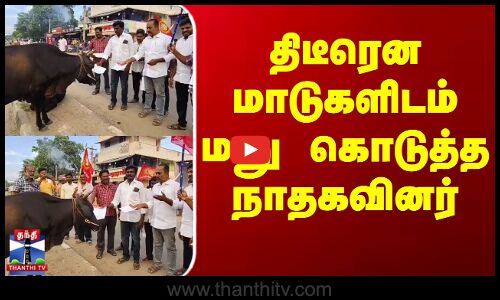 Pudukottai | Ntk | மாடுகளிடம் மனு கொடுத்த நாதகவினர் - நூதன போராட்டம்