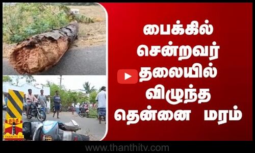 பைக்கில் சென்றவர் தலையில் விழுந்த தென்னை மரம்