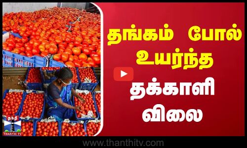 தங்கம் போல் உயர்ந்த தக்காளி விலை