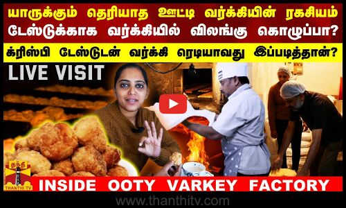 யாருக்கும் தெரியாத ஊட்டி வர்க்கியின் ரகசியம்..டேஸ்டுக்காக விலங்கு கொழுப்பு சேர்க்கப்படுகிறதா?