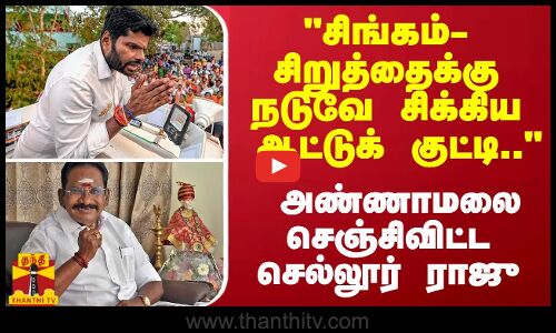 சிங்கம்- சிறுத்தைக்கு நடுவே சிக்கிய ஆட்டுக் குட்டி.. அ.மலையை டெரெக்ட் அட்டாக் செஞ்ச செல்லூர் ராஜு