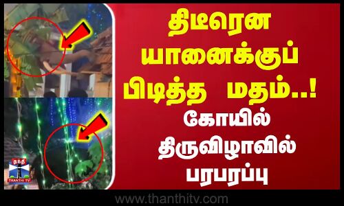 Elephant Attack || திடீரென யானைக்குப் பிடித்த மதம்..! கோயில் திருவிழாவில் பரபரப்பு