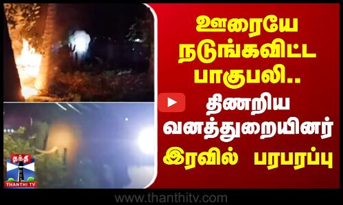 ஊரையே நடுங்கவிட்ட பாகுபலி.. திணறிய வனத்துறையினர் - இரவில் பரபரப்பு