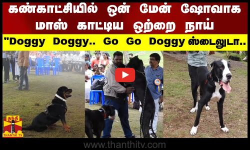 கண்காட்சியில் ஒன் மேன் ஷோவாக மாஸ் காட்டிய ஒற்றை நாய்.. Doggy Doggy.. Go Go Doggy ஸ்டைலுடா..