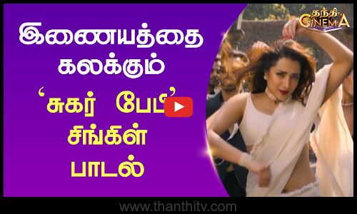 இணையத்தை கலக்கும் ‘சுகர் பேபி சிங்கிள் பாடல்