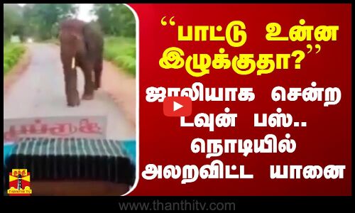 ``பாட்டு உன்ன இழுக்குதா?’’ - ஜாலியாக சென்ற டவுன் பஸ்.. நொடியில் அலறவிட்ட யானை