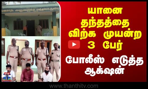 யானை தந்தத்தை விற்க முயன்ற 3 பேர்..போலீஸ் எடுத்த ஆக்‌ஷன்