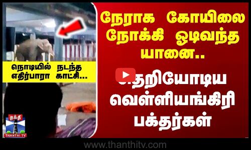 நேராக கோயிலை நோக்கி ஓடிவந்த யானை.. சிதறியோடிய Velliangiri பக்தர்கள்