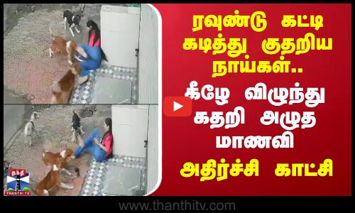 ரவுண்டு கட்டி கடித்து குதறிய நாய்கள்.. கீழே விழுந்து கதறி அழுத மாணவி