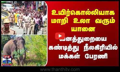 Elephant Attack | உயிர்கொல்லியாக மாறி உலா வரும் யானை - வனத்துறையை கண்டித்து நீலகிரியில் பேரணி