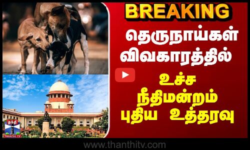தெருநாய்களை கட்டுப்படுத்த புதிய ஐடியா - உச்ச நீதிமன்றம் முக்கிய உத்தரவு
