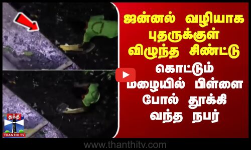 Chennai | ஜன்னல் வழியாக புதருக்குள் விழுந்த சிண்ட்டு..கொட்டும் மழையில் பிள்ளை போல் தூக்கி வந்த நபர்
