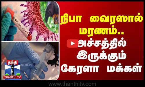 நிபா வைரஸால் மரணம்..அச்சத்தில் இருக்கும் கேரளா மக்கள்