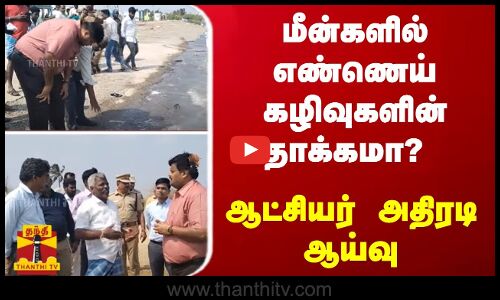 மீன்களில் எண்ணெய் கழிவுகளின் தாக்கமா? - ஆட்சியர் அதிரடி ஆய்வு